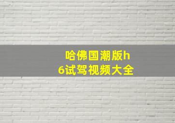 哈佛国潮版h6试驾视频大全