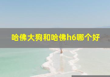 哈佛大狗和哈佛h6哪个好