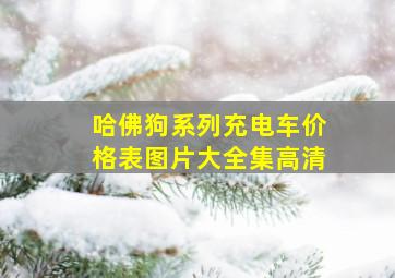 哈佛狗系列充电车价格表图片大全集高清