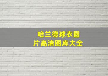 哈兰德球衣图片高清图库大全