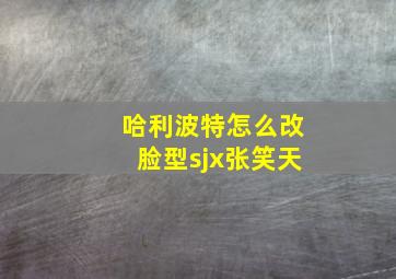 哈利波特怎么改脸型sjx张笑天