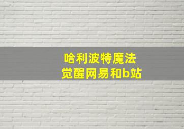 哈利波特魔法觉醒网易和b站