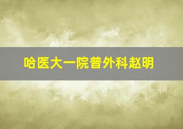 哈医大一院普外科赵明