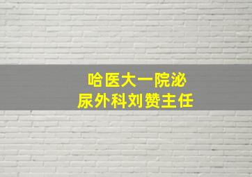 哈医大一院泌尿外科刘赞主任