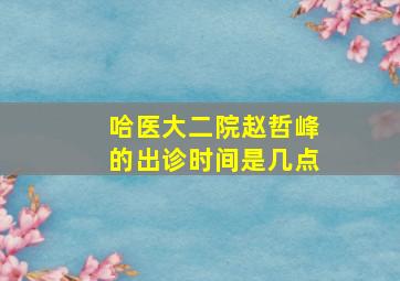 哈医大二院赵哲峰的出诊时间是几点