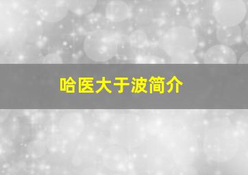 哈医大于波简介