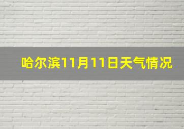 哈尔滨11月11日天气情况