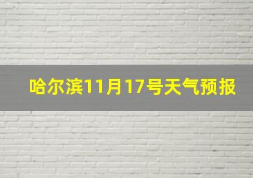 哈尔滨11月17号天气预报