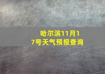 哈尔滨11月17号天气预报查询