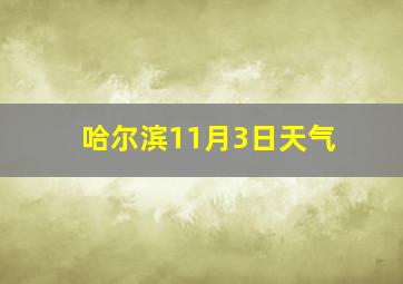 哈尔滨11月3日天气