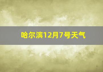 哈尔滨12月7号天气