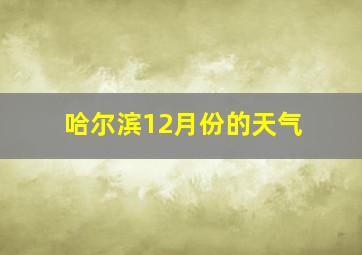 哈尔滨12月份的天气