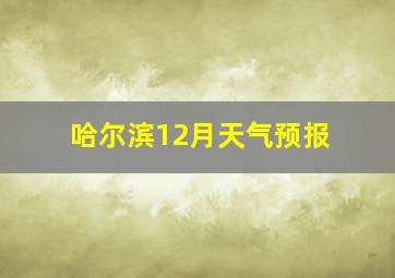 哈尔滨12月天气预报