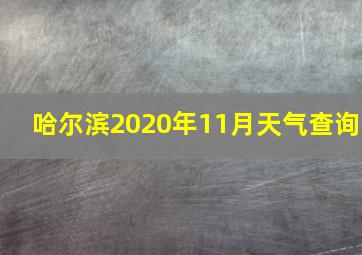 哈尔滨2020年11月天气查询