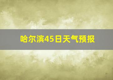 哈尔滨45日天气预报