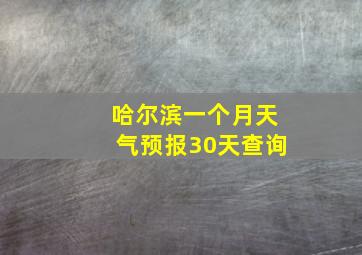 哈尔滨一个月天气预报30天查询