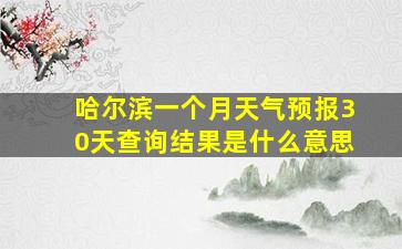 哈尔滨一个月天气预报30天查询结果是什么意思