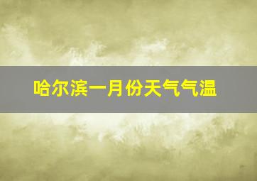 哈尔滨一月份天气气温