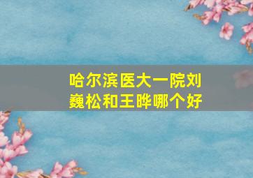 哈尔滨医大一院刘巍松和王晔哪个好