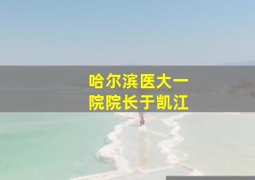 哈尔滨医大一院院长于凯江