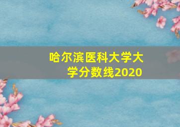 哈尔滨医科大学大学分数线2020