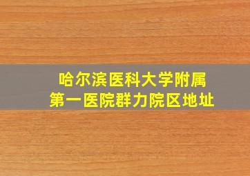 哈尔滨医科大学附属第一医院群力院区地址