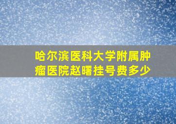 哈尔滨医科大学附属肿瘤医院赵曙挂号费多少