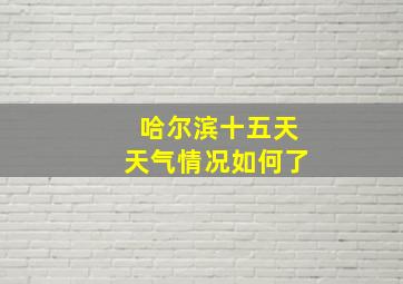 哈尔滨十五天天气情况如何了