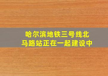 哈尔滨地铁三号线北马路站正在一起建设中