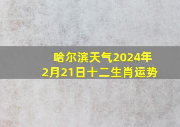 哈尔滨天气2024年2月21日十二生肖运势