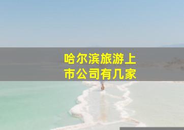 哈尔滨旅游上市公司有几家