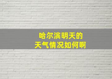 哈尔滨明天的天气情况如何啊