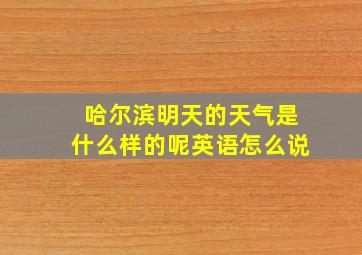 哈尔滨明天的天气是什么样的呢英语怎么说