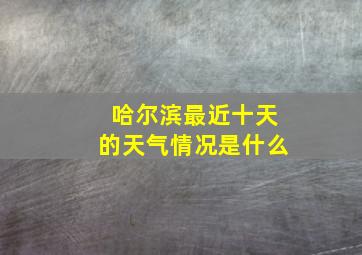 哈尔滨最近十天的天气情况是什么