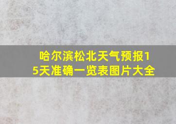 哈尔滨松北天气预报15天准确一览表图片大全