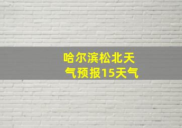 哈尔滨松北天气预报15天气