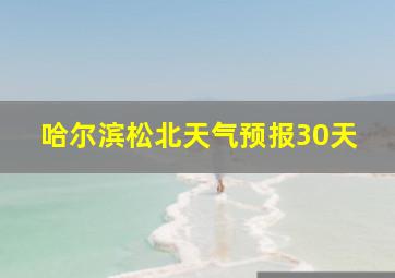 哈尔滨松北天气预报30天