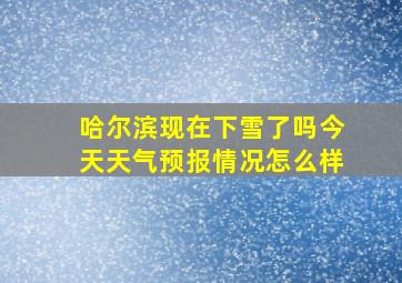 哈尔滨现在下雪了吗今天天气预报情况怎么样