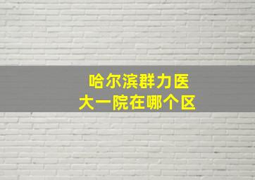 哈尔滨群力医大一院在哪个区