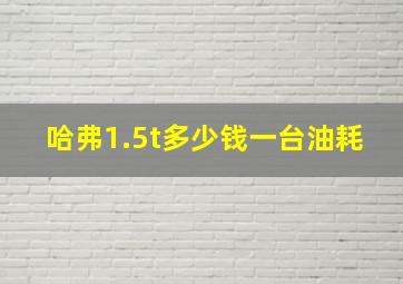 哈弗1.5t多少钱一台油耗