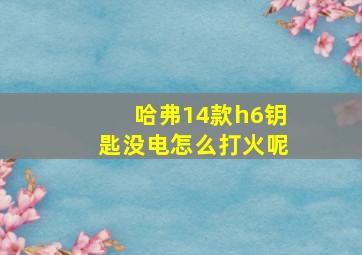 哈弗14款h6钥匙没电怎么打火呢