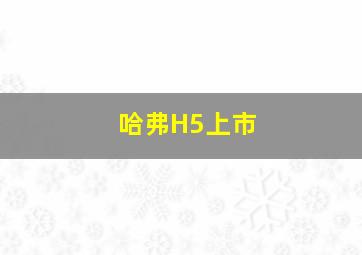 哈弗H5上市