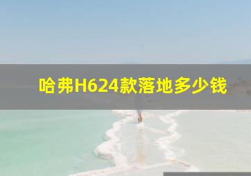 哈弗H624款落地多少钱