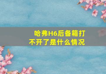 哈弗H6后备箱打不开了是什么情况