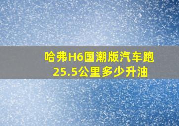 哈弗H6国潮版汽车跑25.5公里多少升油