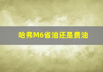 哈弗M6省油还是费油