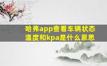 哈弗app查看车辆状态温度和kpa是什么意思