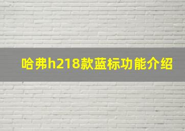 哈弗h218款蓝标功能介绍