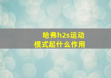 哈弗h2s运动模式起什么作用