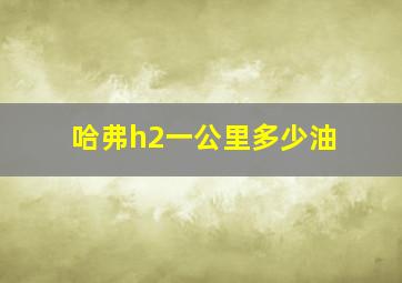 哈弗h2一公里多少油